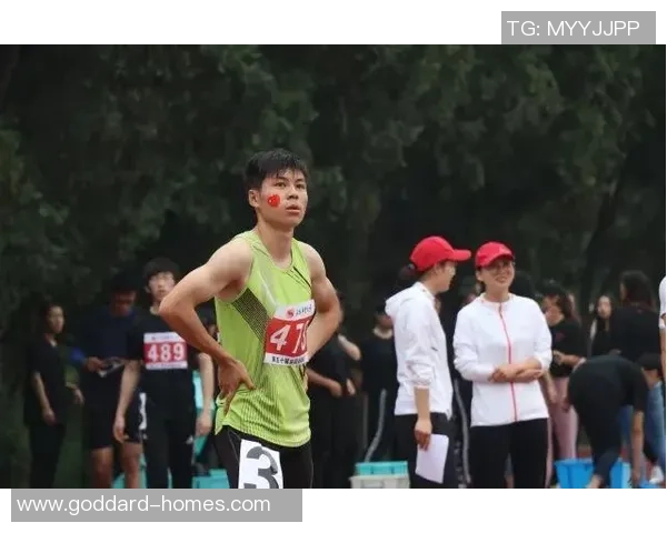 深圳排球队的拼搏之路与钻石联赛的荣耀时刻